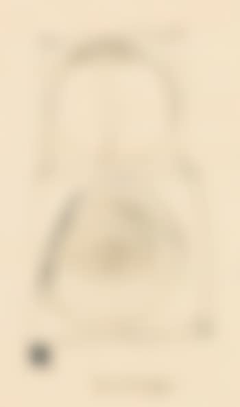 Figur und Spirale (preview)