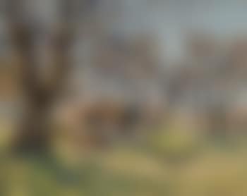 Dörfliches Idyll im Vorfrühling (preview)