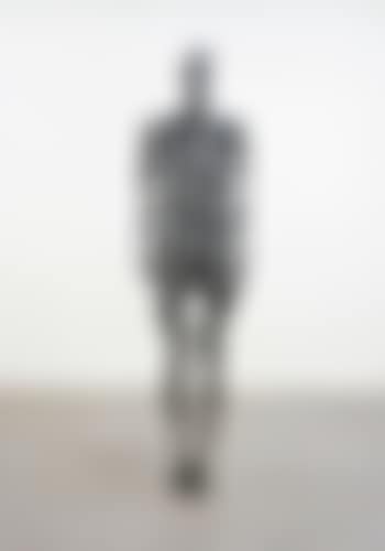 Sublimate XVI (preview)