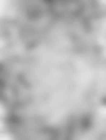 Untitled (P489) (preview)