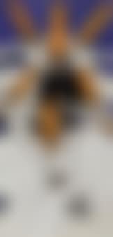 Dervishes (preview)