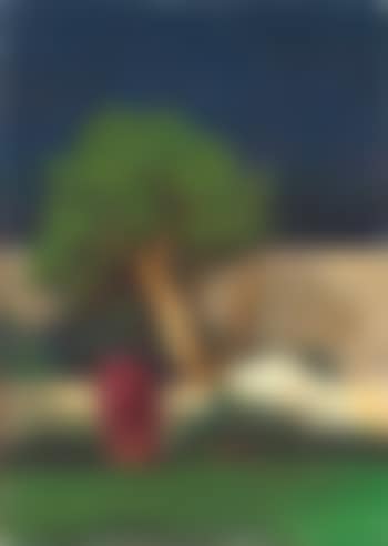 Il coppo rosso (preview)