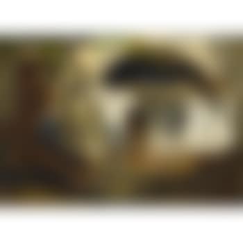 Untitled (preview)