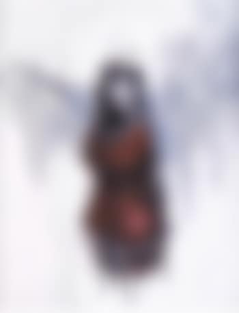Girl in a red dress (preview)