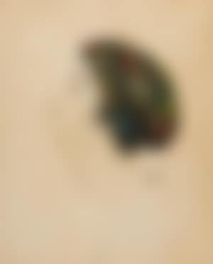 Extase (preview)
