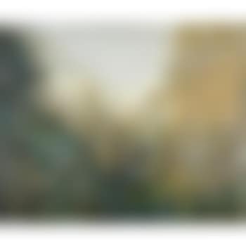 Etude De Joncs (preview)