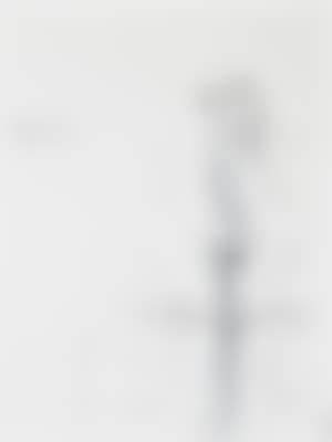 Rose des Vents II - Weather vane (preview)