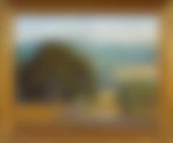 Cattle grazing amongst Marin oaks (preview)