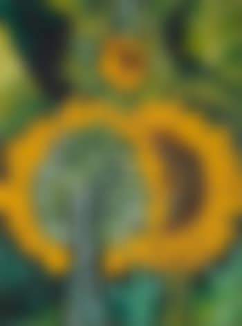 Sunflowers (preview)