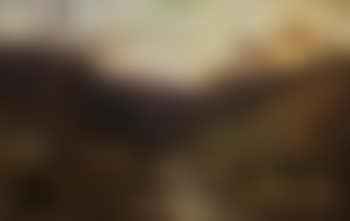 Sheep by mountain stream at dusk (preview)