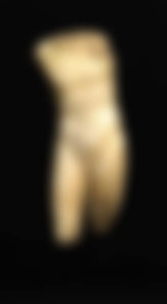 Torse Masculin Acéphale (preview)