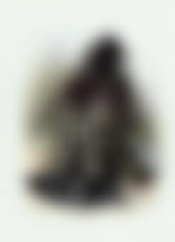 Spotted eagle (preview)