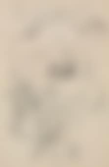 Athlet (preview)