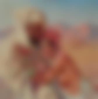 Sous le soleil africain (preview)