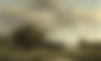 Cows in the pasture (preview)