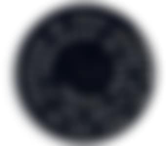 Disk Inscribed with Pun (preview)