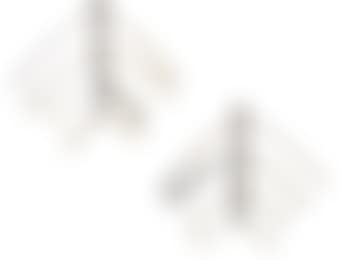 Untitled (Earrings) (preview)