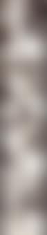 Untitled (Self-Portrait) (preview)