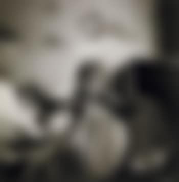 The Vanished World (preview)