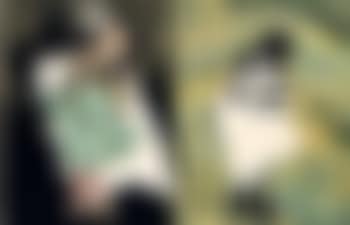 Pissarro 1830-1903 (preview)