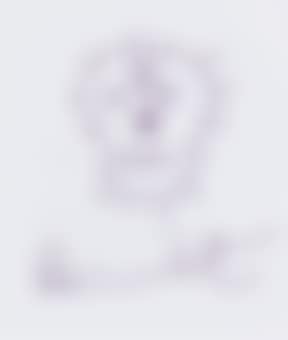 Skull (preview)
