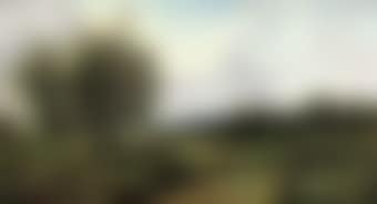 A mother and child on a sunny track; and A meeting at the gate (preview)
