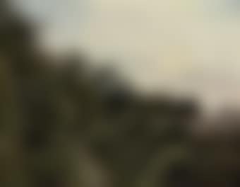 The wooded track (preview)