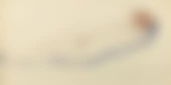 Reclining nude (preview)