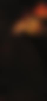 Woman reading by lamp light (preview)