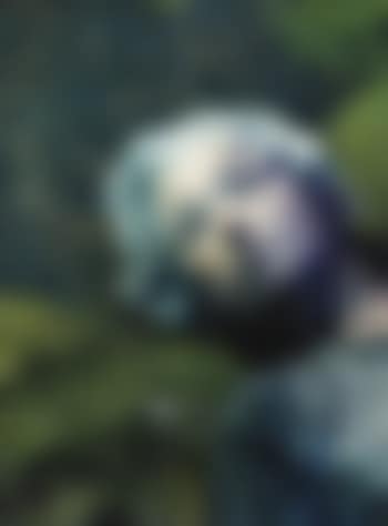 Untitled #153 (preview)