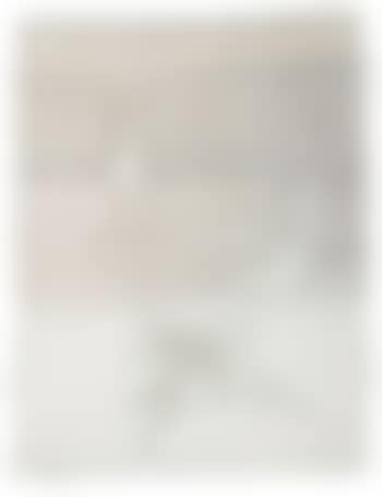 Untitled (Pegasus) (preview)