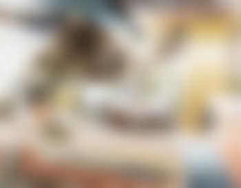 Der Sammler (preview)