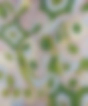 Lavender Flame (preview)
