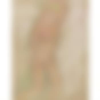 Homme Nu Ailé (preview)