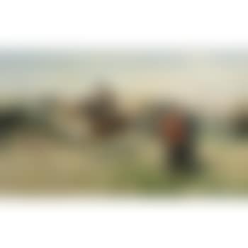 Zaporozcy (preview)