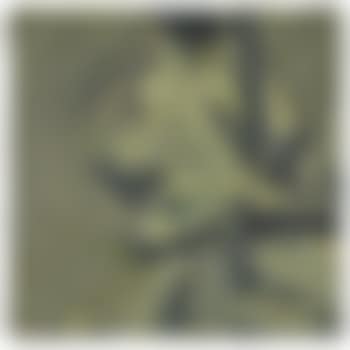 Head Of Paula Eyles (preview)