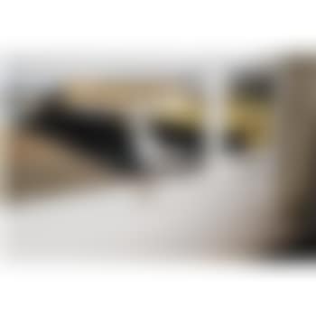 Birds Of A Feather II (preview)
