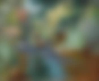 Mountain stream (preview)