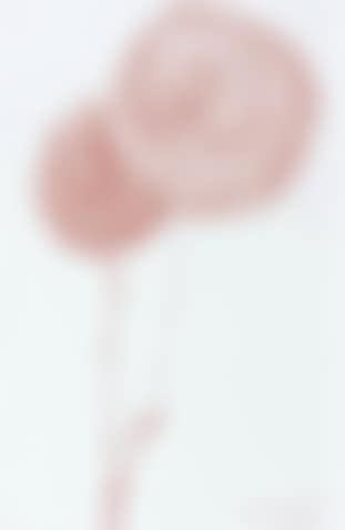 Sans titre (preview)