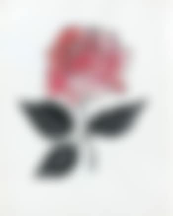Pink flower (preview)