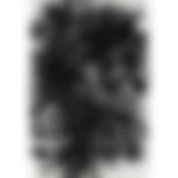 Untitled (P180) (preview)