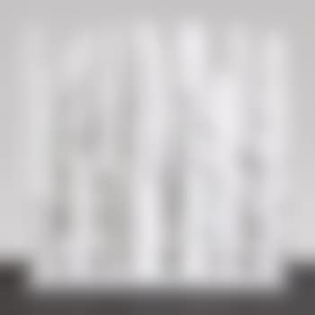 Untitled (Columns) (preview)