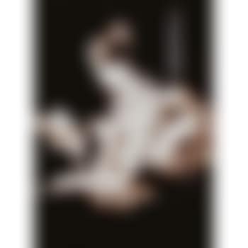 The Reader, After Fragonard (From Pictures Of Chocolate) (preview)