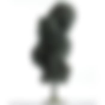 Bush (preview)