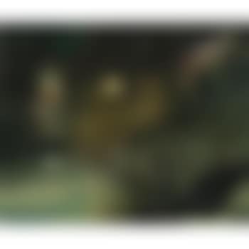 Children's Fear Of Idols II (preview)