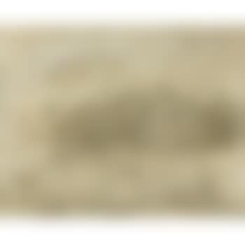 Paisaje (preview)