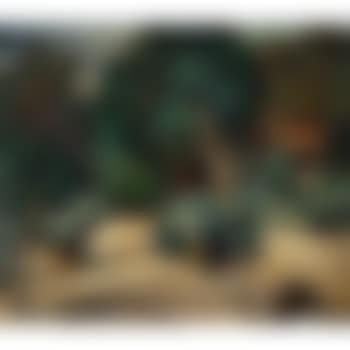 Paysage D'arcachon (preview)