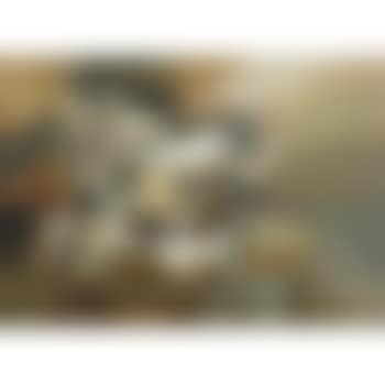 Rape Of Europa (preview)
