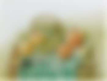 Nature morte (preview)