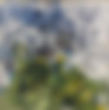 Paysage (preview)